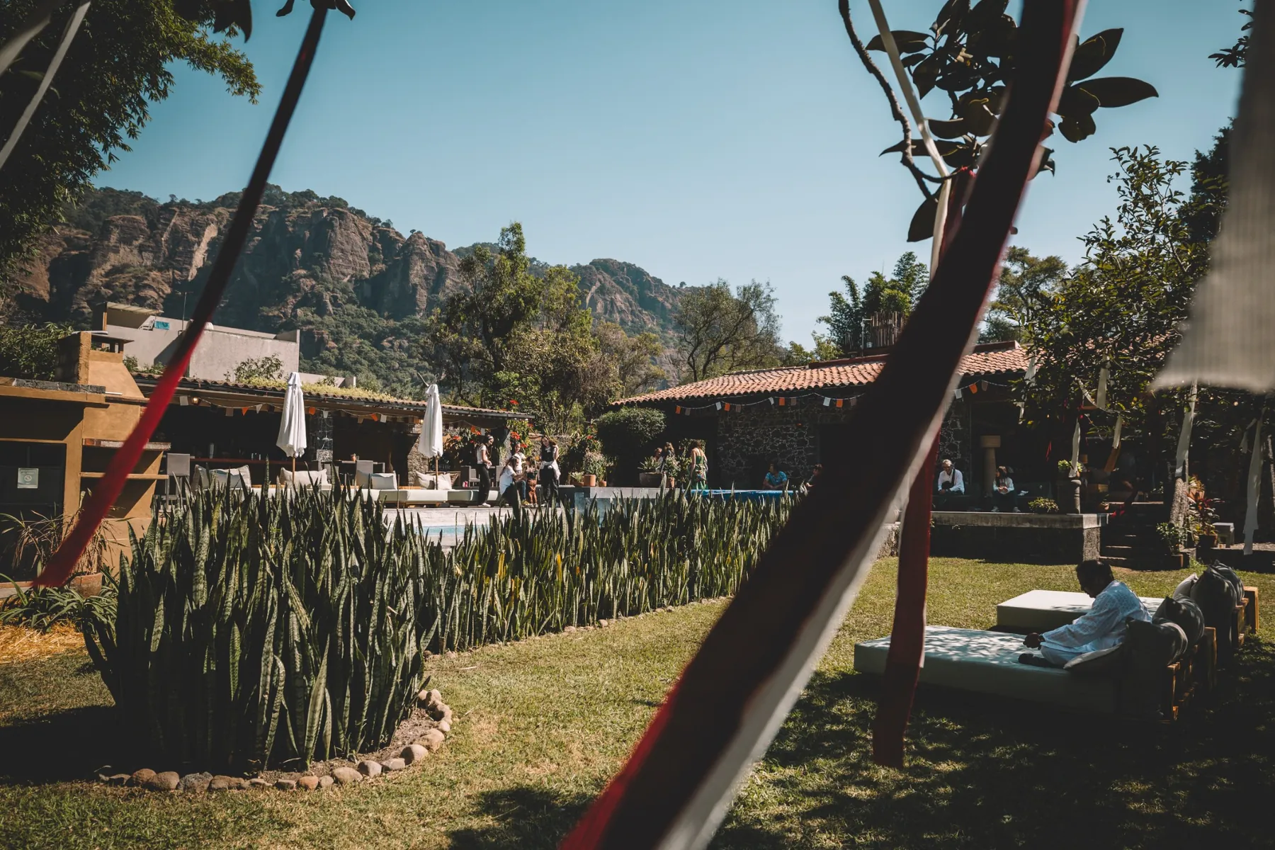 Jardines y alberca de IKAL rodeados de plantas y montaña